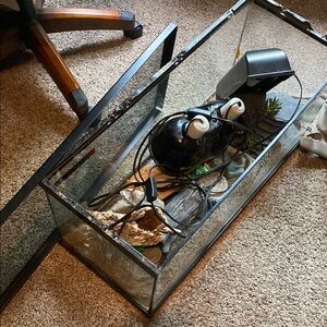 Reptile tank has everything needed- 70$